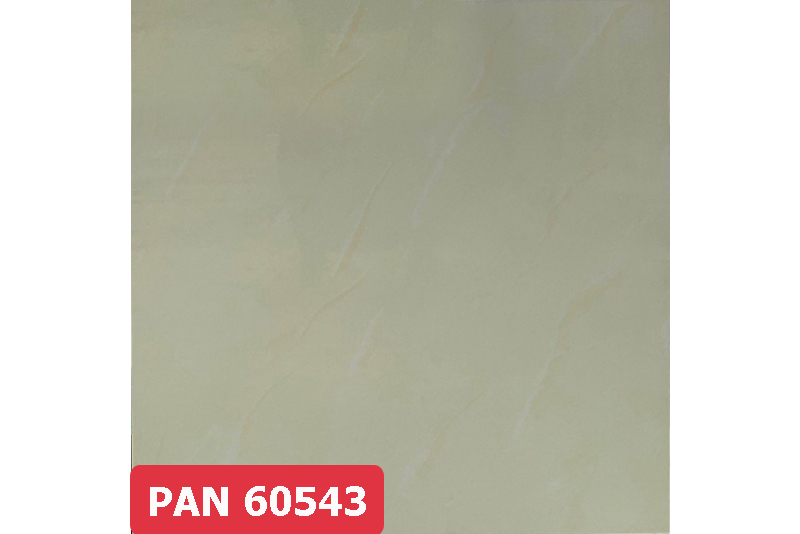 Gạch Pancera 60x60 60543